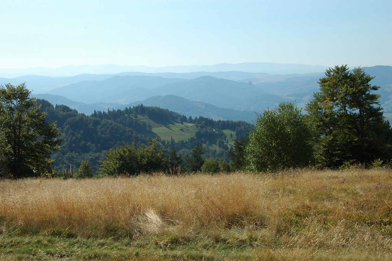 panorama z Hali Pisanejw 2006