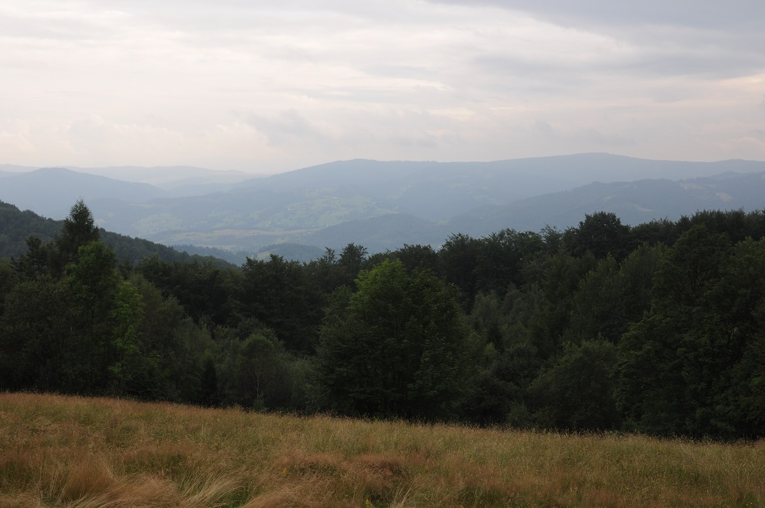 panorama z Hali Pisanej 