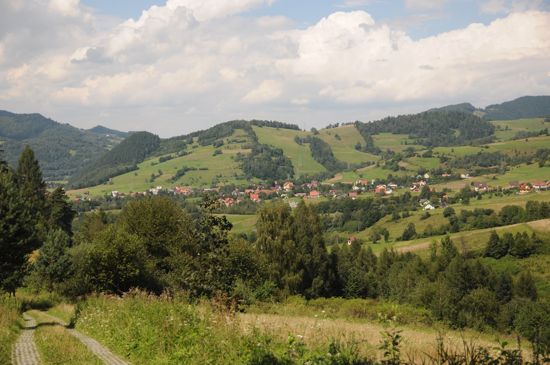 Piwniczna - szlak niebieski