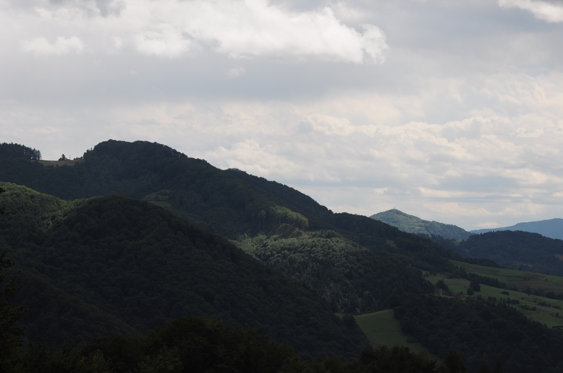 Makowica 2