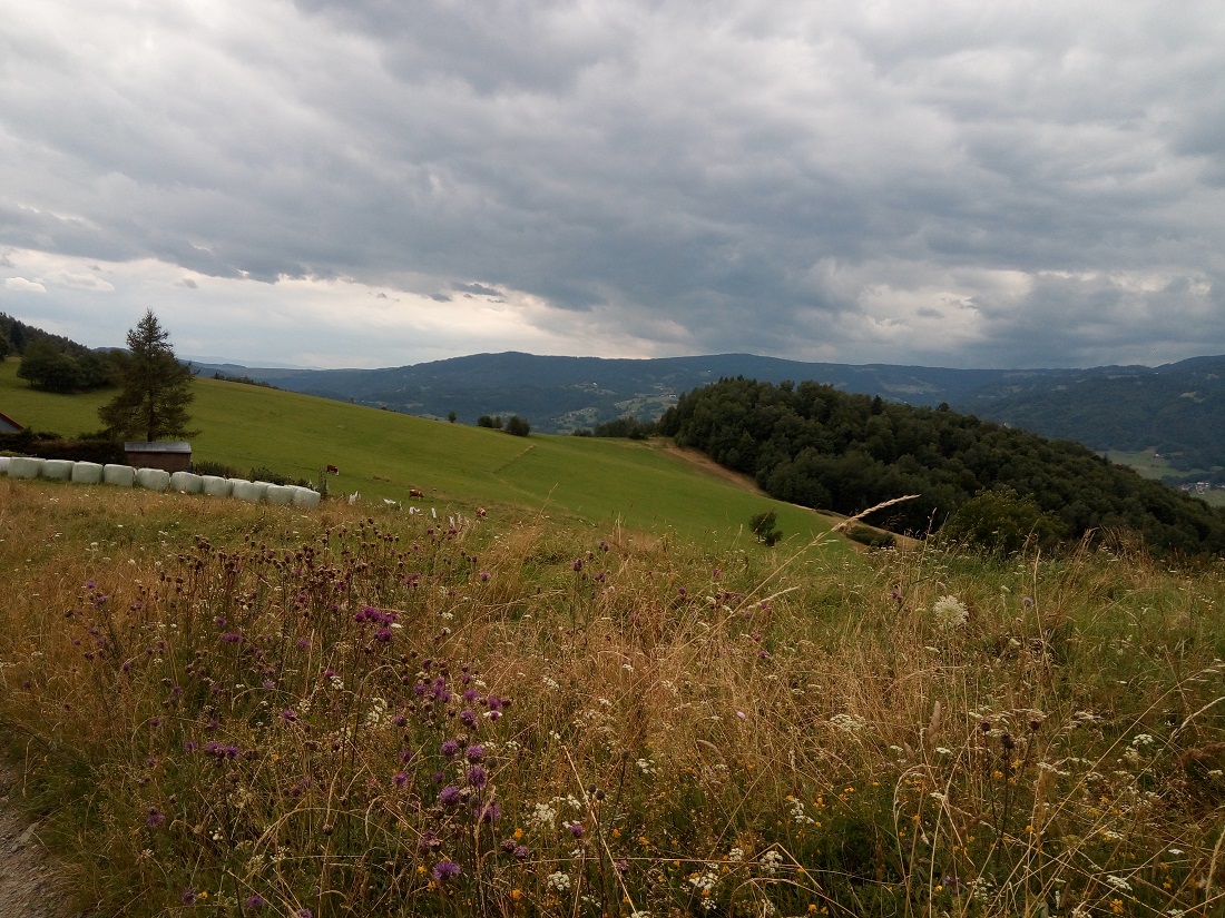 widok pasmo Radziejowej