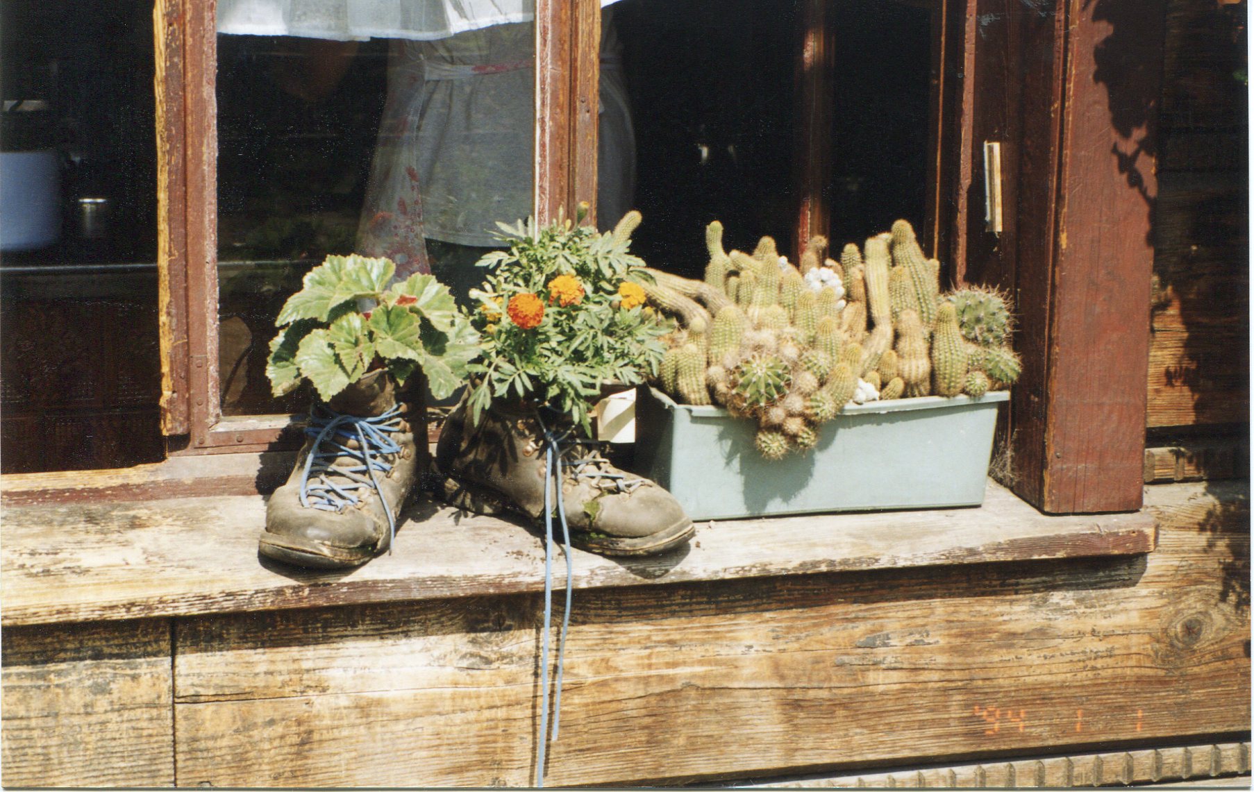 buty 1998