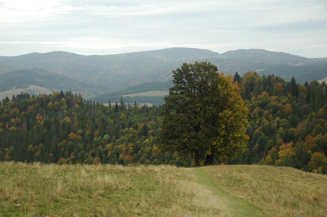 pasmo Radziejowej