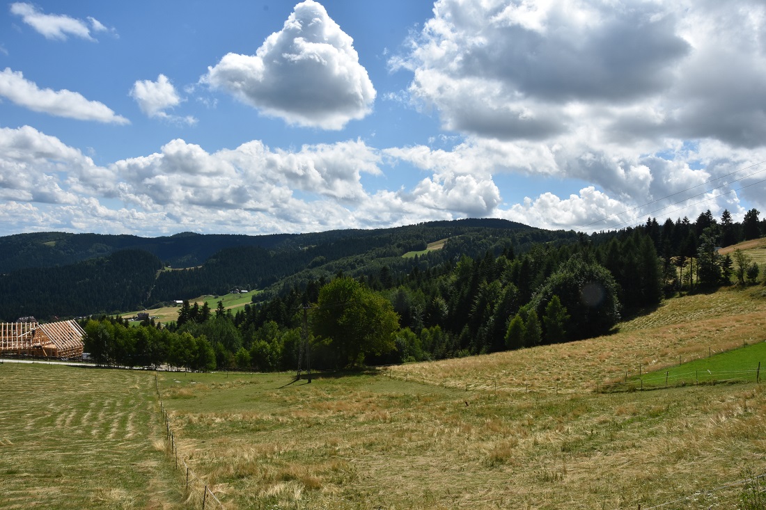Eliaszówka