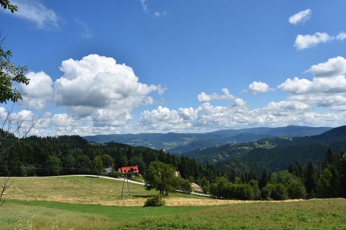 Kosarzyska