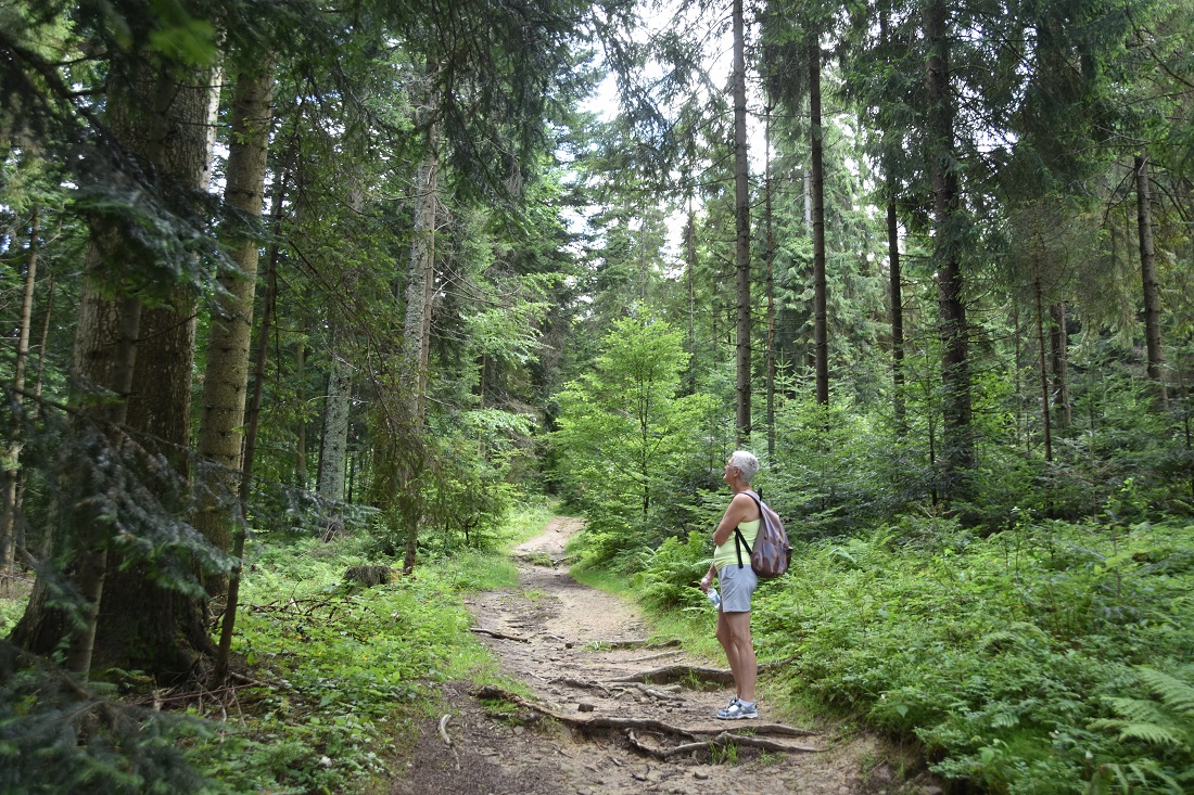 słowacka łąka