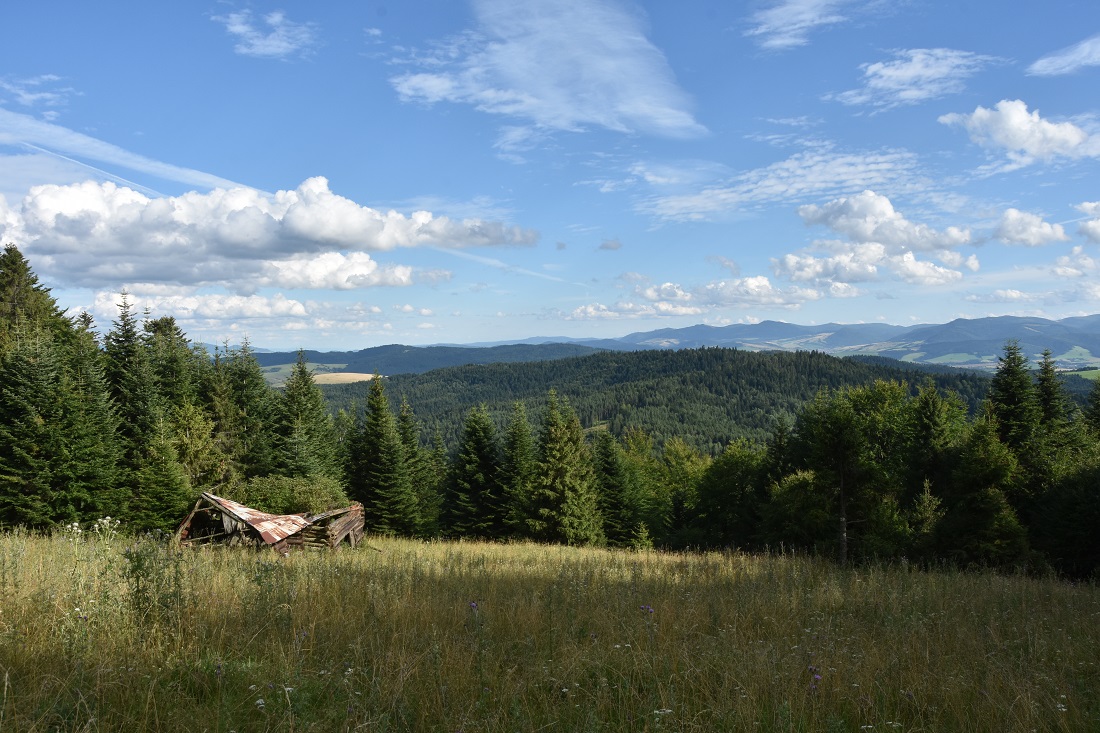 słowacka łąka