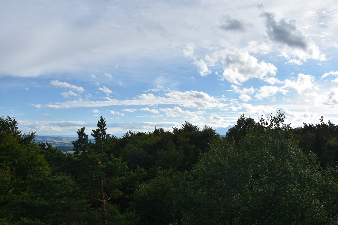 widok z wieży na Eliaszówce
