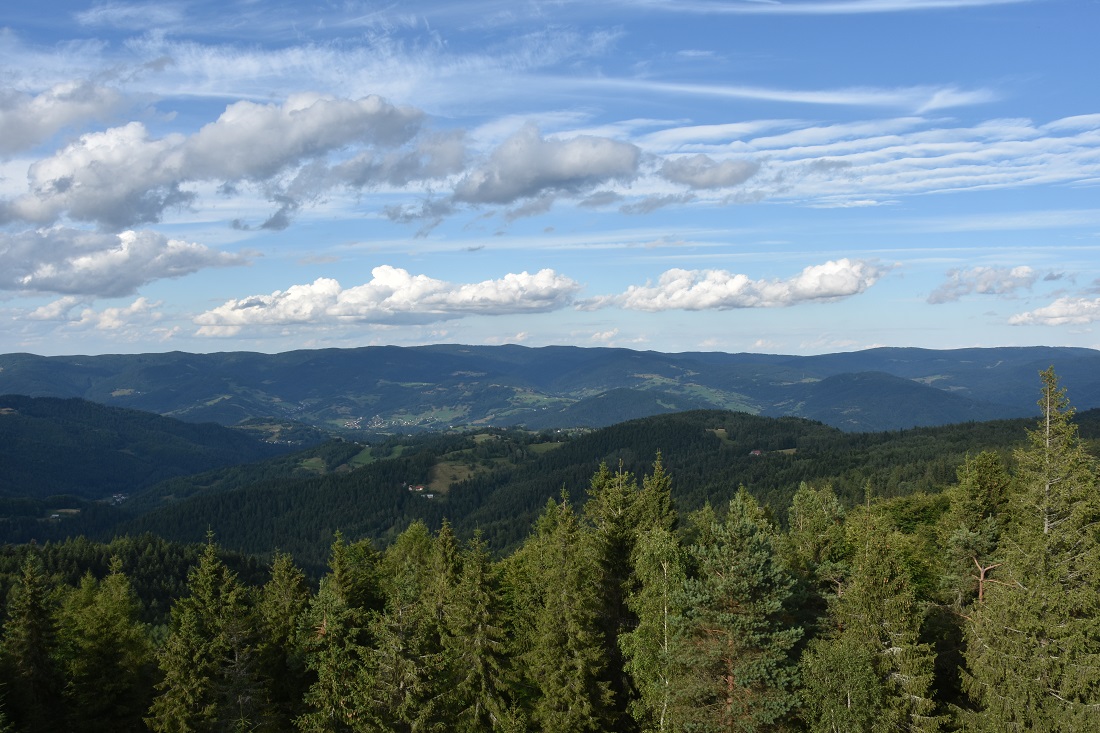 gory/beskid Sądecki i Niemcowa