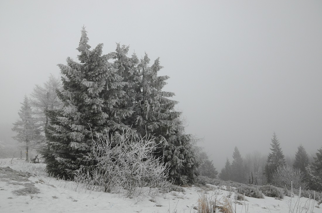 gory/beskid Sądecki - zima