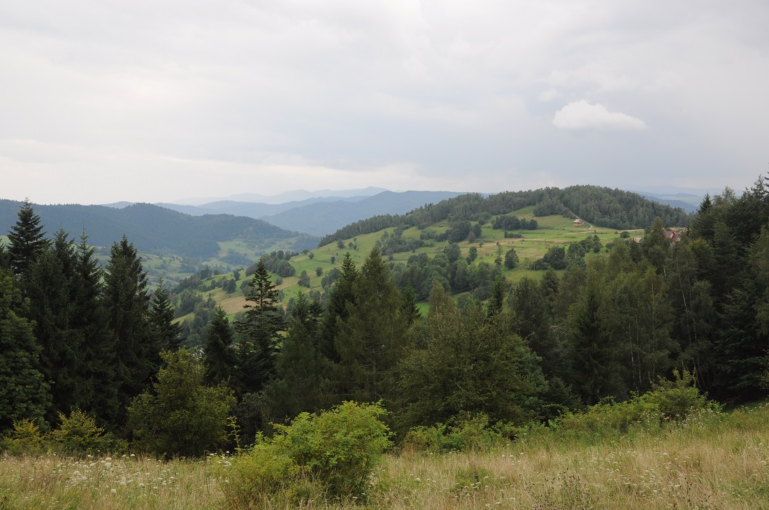 gory/beskid Sądecki - wodok z Jaworzyny
