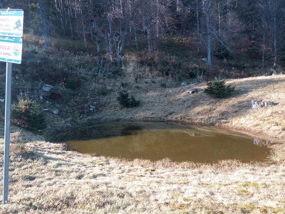 jeziorko