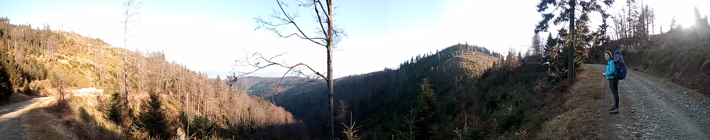 panorama z Radziejową