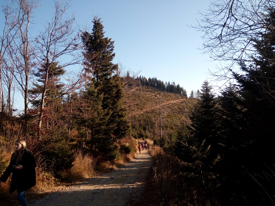 Radziejowa