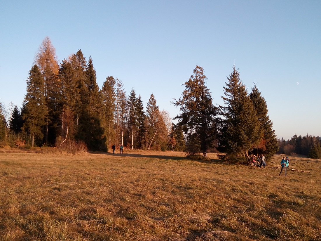 kuszenie