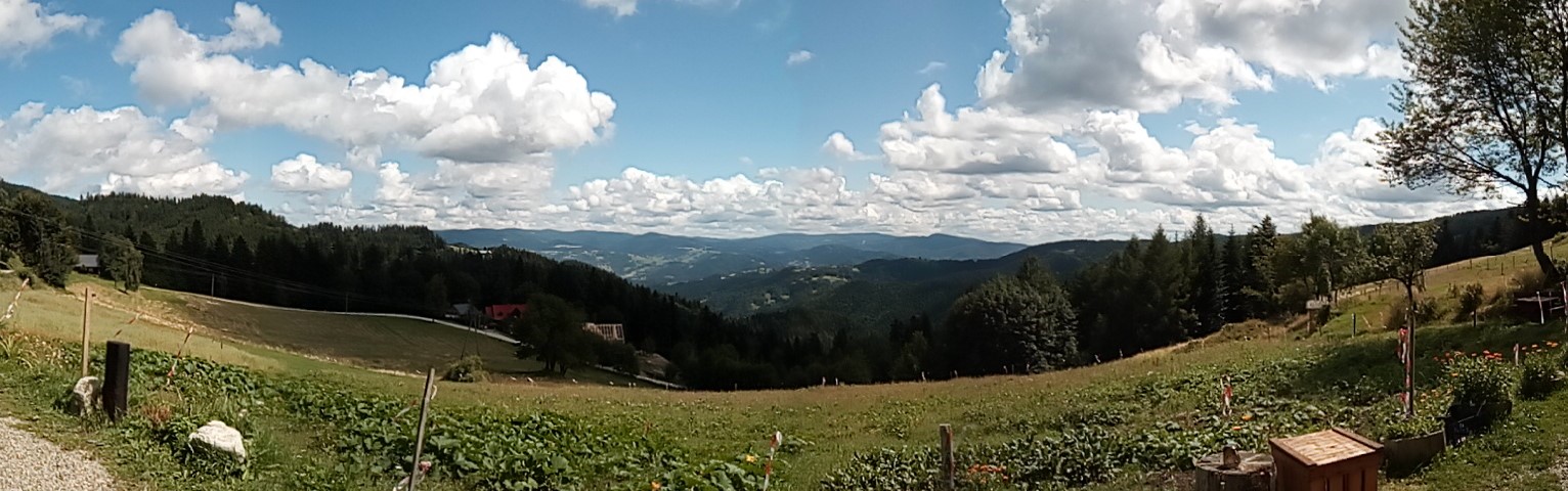 panorama Beskidu Sądeckiego
