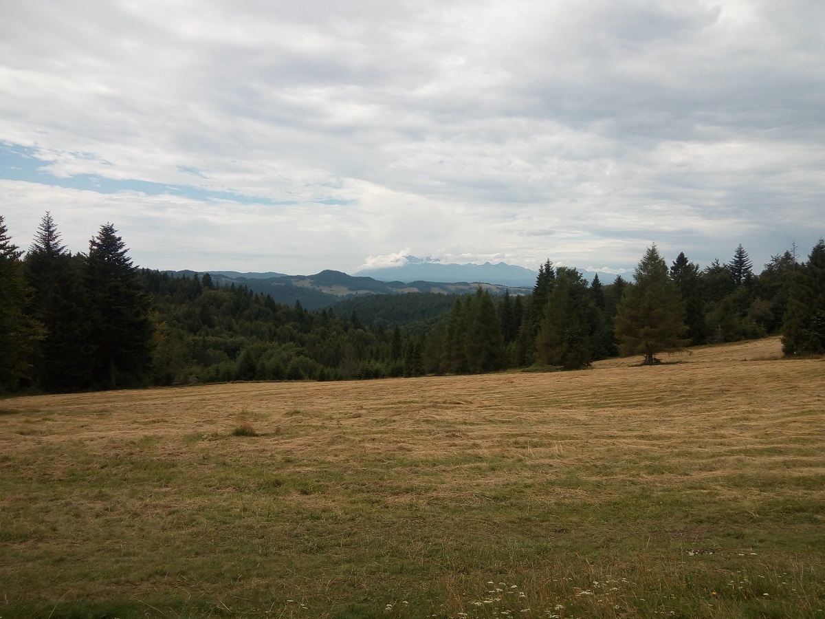 widok na Tatry 