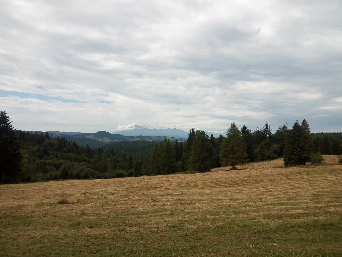 widok z Obidzy 