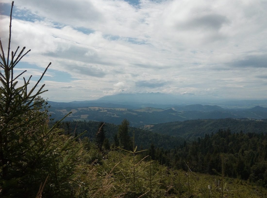 panorama Tatr z Wielkiego  Rogacza