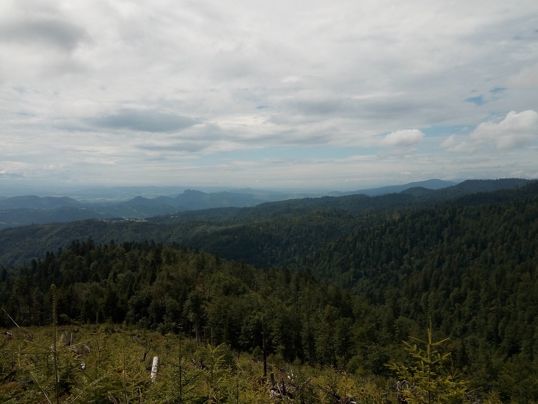 widok Pienin
