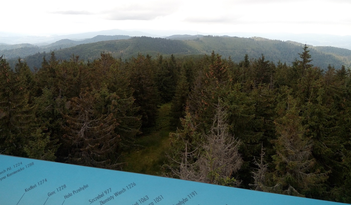 panorama z Radziejowej na północ