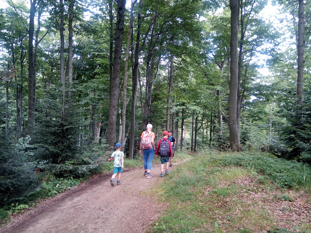 na czerwonym szlaku