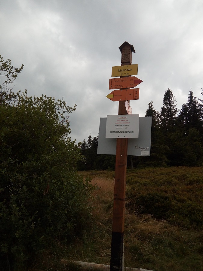 drogowskaz