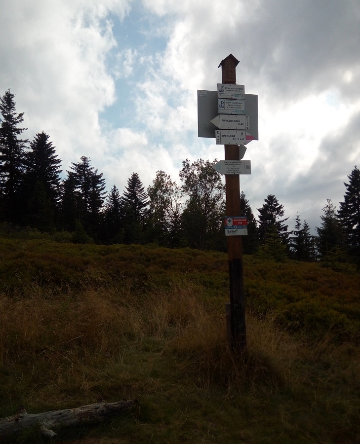 połączenie szlaków na Niemcowej