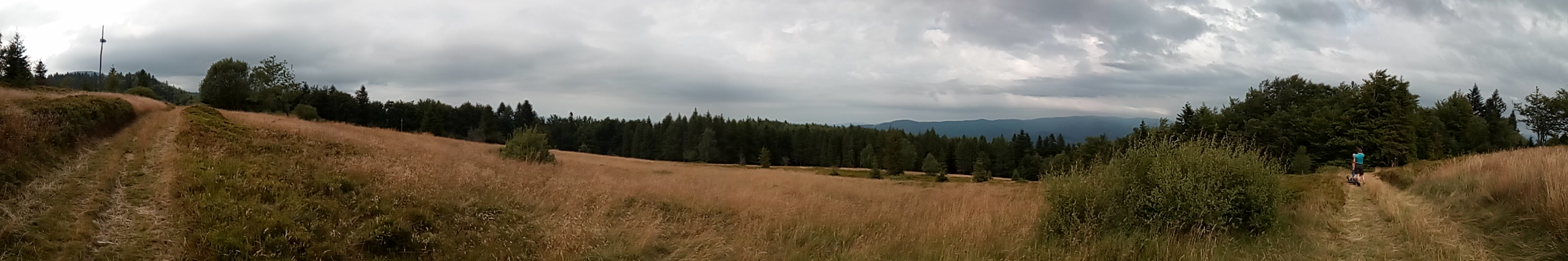 polana Niemcowa horyzontalnie