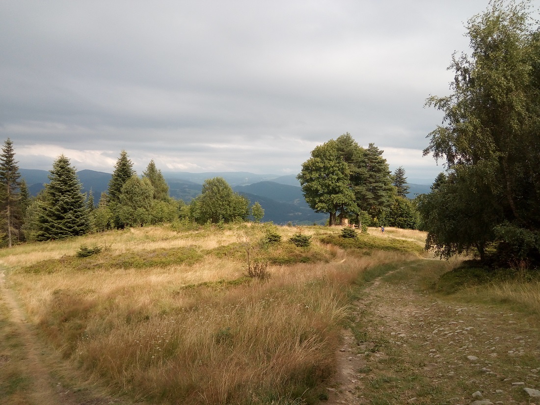 widok z polany Niemcowej
