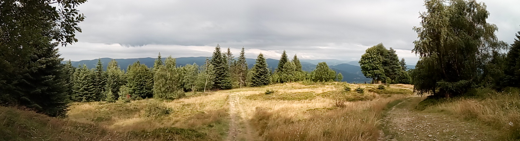 panorama Jaworzyny Krynickiej
