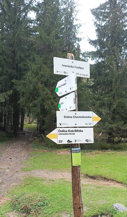 drogowskaz