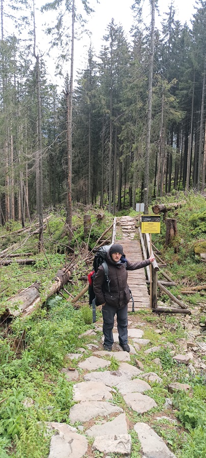 zasadzka