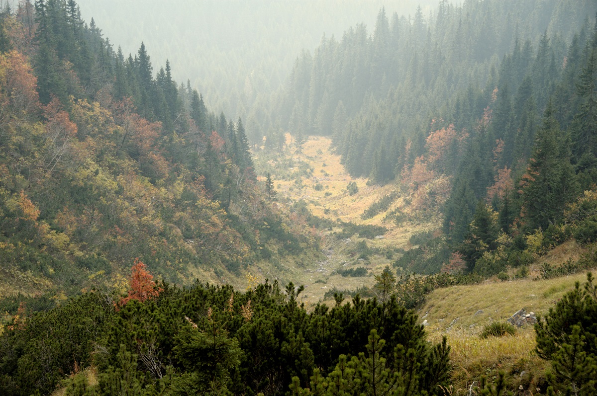 Dolina Tomanowa jesienią