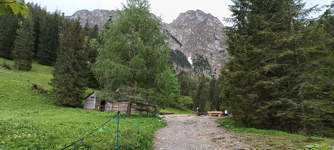 Giewont w dolinie