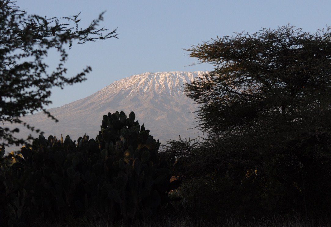 Wschód słońca w Amboseli