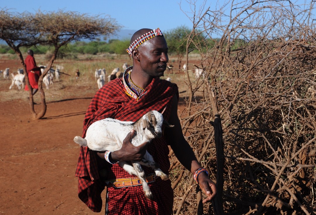 dobry pasterz Masaj