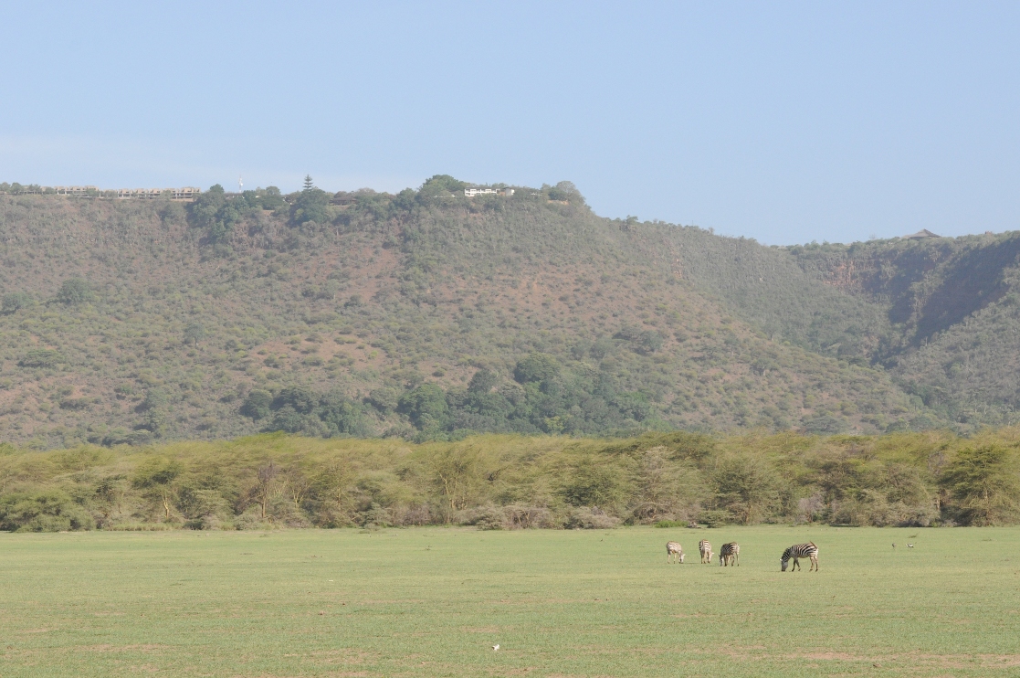 Step w parku narodowym w Tanzanii