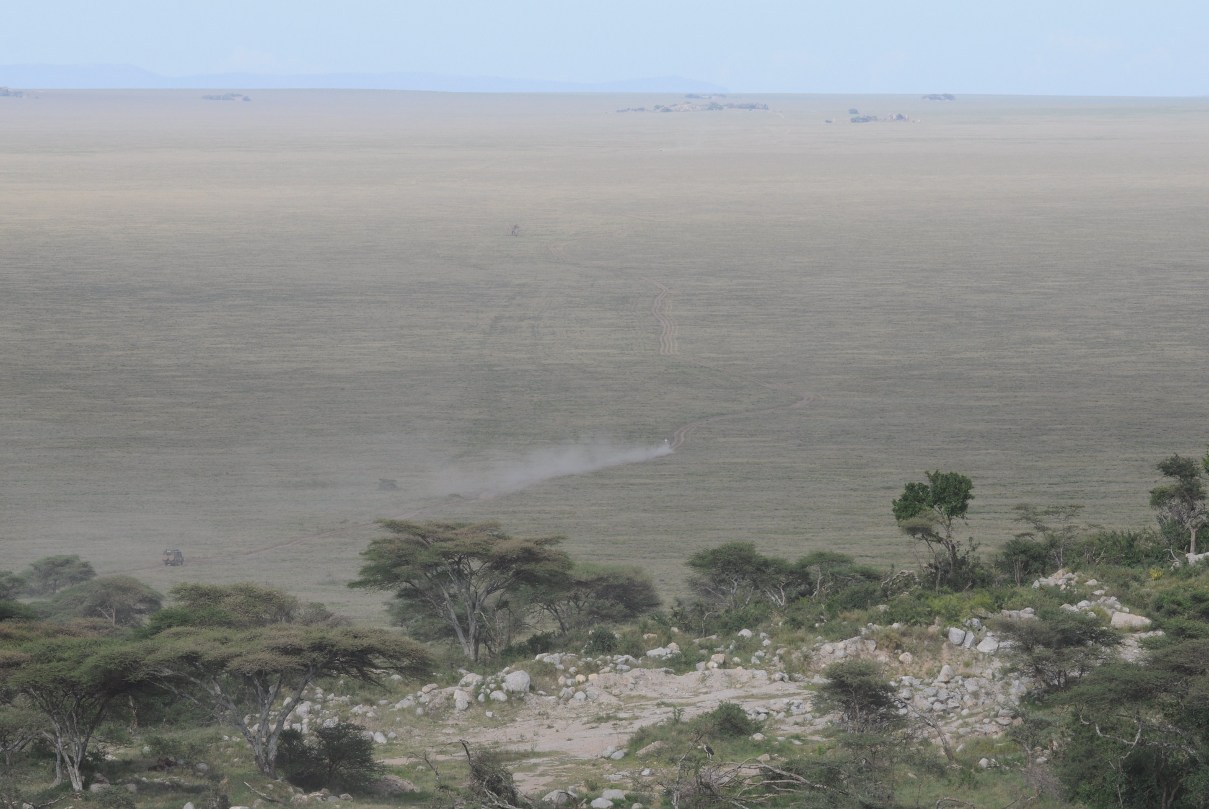 widok na  Serengeti