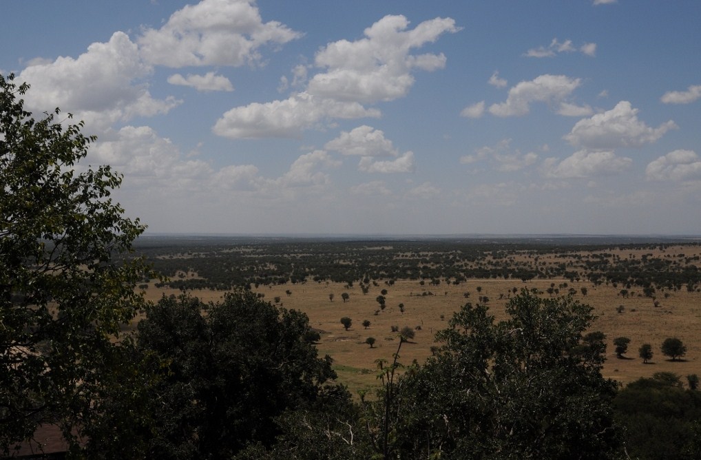 Park Narodowy Serengeti