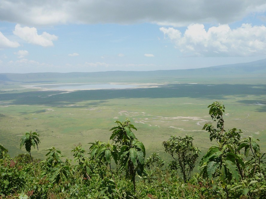 Ngorongoro