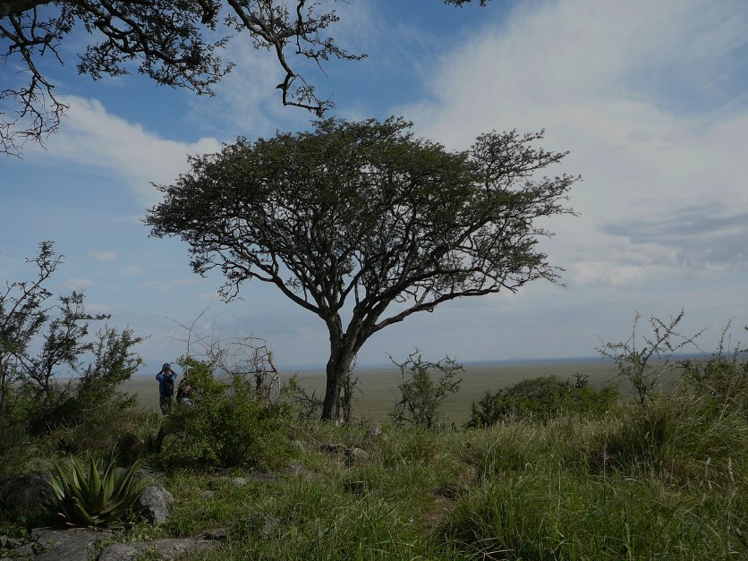 Tanzania - PN Serengeti
