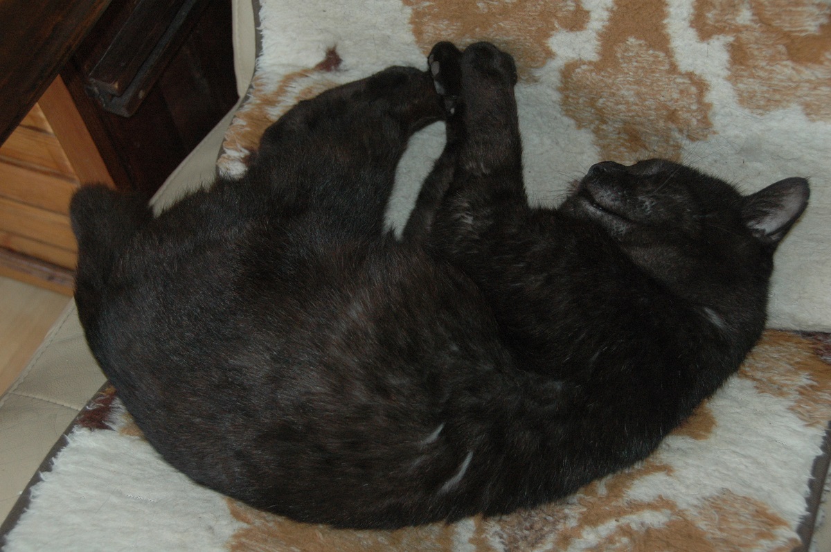 Amaretto