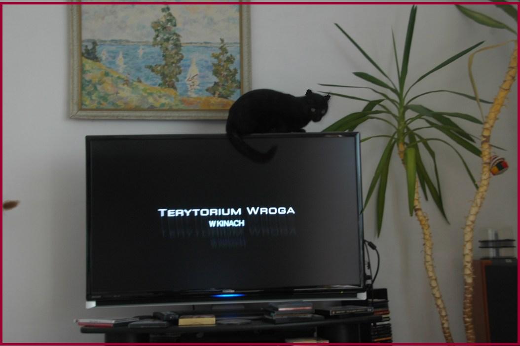 Garbaty Nos na TV