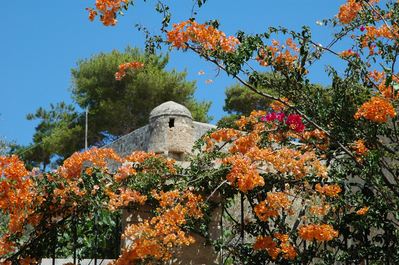 Kreta - forteca w kwiatach