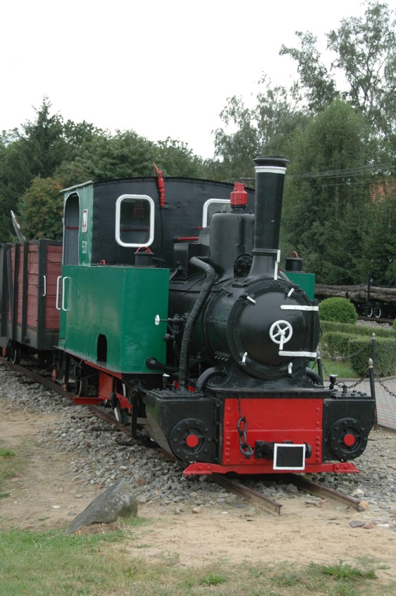 Muzeum Kolejki Wąskotorowej -Śliczna lokomotywa