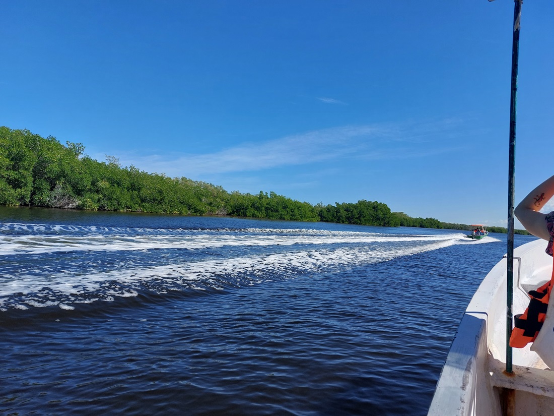na Rio Lagartos