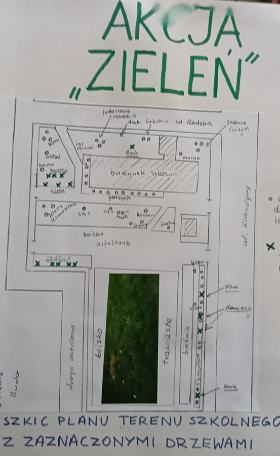 plan nasadzeń