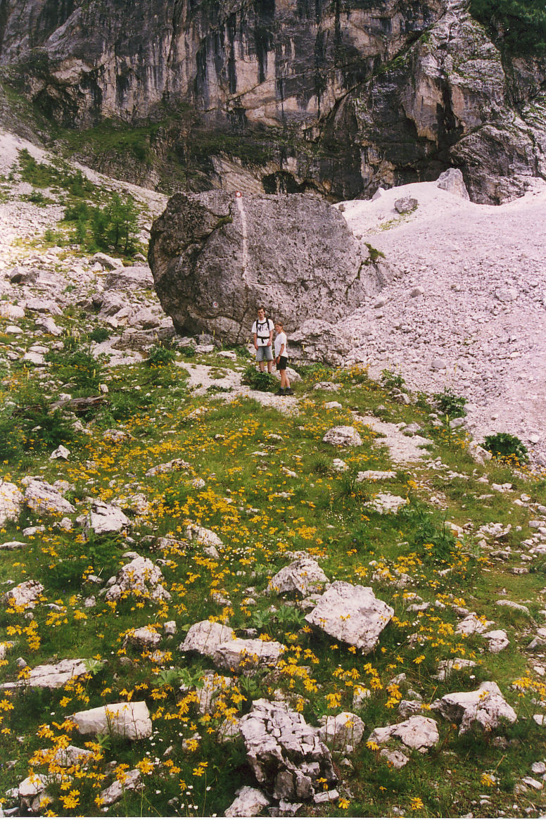 alpejskie łąki
