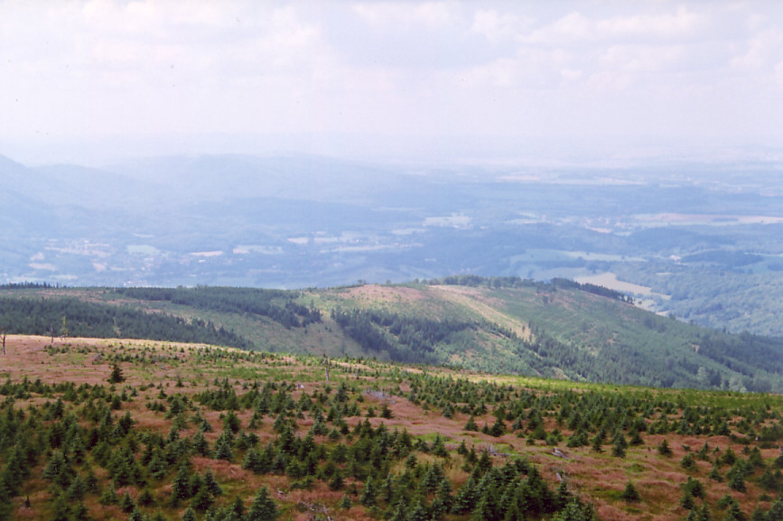 widoki